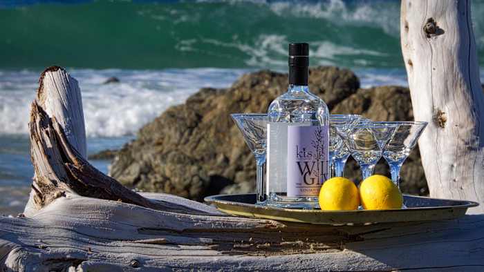 The Gin on Driftwood2 - ARTICLE - CREDIT IS FOR SOUTH AUSTRALIA TOURISM COMMISSION.jpg
